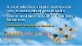 UCLA Public/Private patch for Moodle