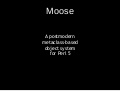 Moose talk at FOSDEM 2011 (Perl devroom)