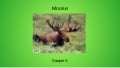 Moose - YAPC::NA 2012