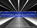 Morfología en imágenes: análisis del sustantivo