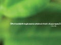 Moringa Presentation General