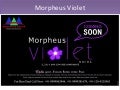 Morpheus Violet 9999381679 Morpheus Group Noida,Morpheus Violet Noida