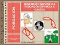 O movemento natural da poboación en España e en Galicia