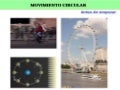 Movimiento Circular