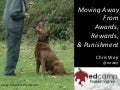 Moving away from awards, rewards, & punishment