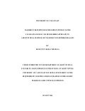 Mphil Thesis Finalversion