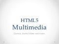 DoctypeHTML5 (Hyderabad) Presentation on Multimedia