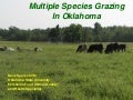 Beginning Farmer Livestock 2: Multiple Species Grazing in Oklahoma