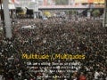 Multitude