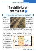The Distillation of Essential Oils Part 3