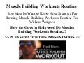 Muscle Building Workouts Routine
