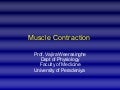 Muscle contraction