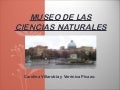 Museo Ciencias Naturales de Madrid