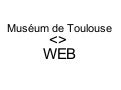 Muséum de Toulouse / WEB 2.0 (mise à jour janvier 2010)