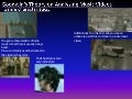 Music video analysis