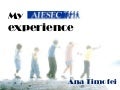 My AIESEC experience 2008-2012