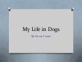 My life in dogs