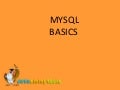 MySQL Basics