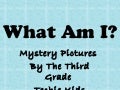 Mystery Picture 