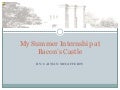 My Summer Internship at Bacon’s Castle