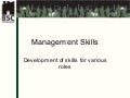 Nadezda Tosic - Management Skills