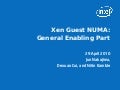 Nakajima numa-final