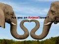 Supporting Noah's Ark (NANAS) Singapore