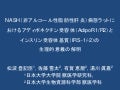 Nashモデル動物作製