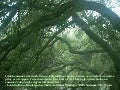 Nathan Ogle AIA LEED AP Short Portfolio Highlights 2012