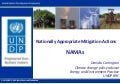Nationally Appropriate Mitigation Actions (NAMA)