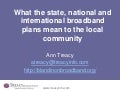 National state international broadband plans