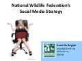 National Wildlife Federation’s Social Strategy