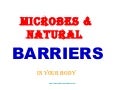 Microbes And Natural Barriers In Your Body