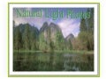 Natural Light Pl