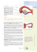Naturales 8 8