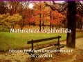 Naturaleza espléndida