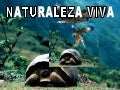 Naturaleza viva
