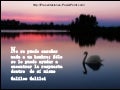Frases y naturaleza