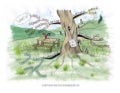 Nature without labels Mind Map