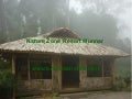Nature zone resort munnar