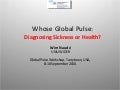 Whose Global Pulse: Diagnosing Sickness or Health?