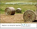 Needle in an enterprise haystack