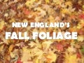 New England's Fall Foliage