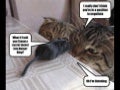Negotiation in open source teams