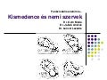Nemiszervek anatómiája - OLKD hallgatók részére