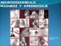 Neurodesarrollo, Madurez y Aprendizaje
