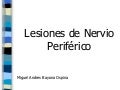 Nervio Periferico