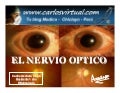Nervio Optico  Fisiologia