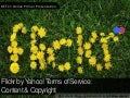 Online Policy Primer: Flickr Terms of Service