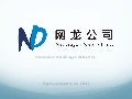 NetDragon Introduction 2011